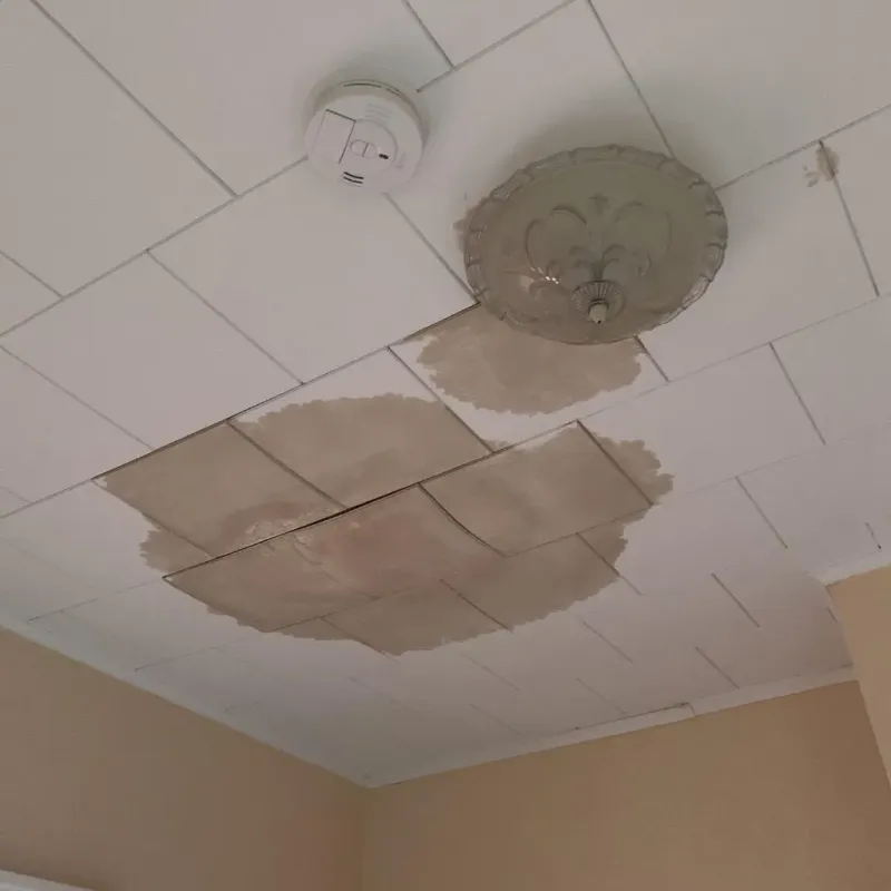 Ceiling Water Damage Repair in Harding County, SD