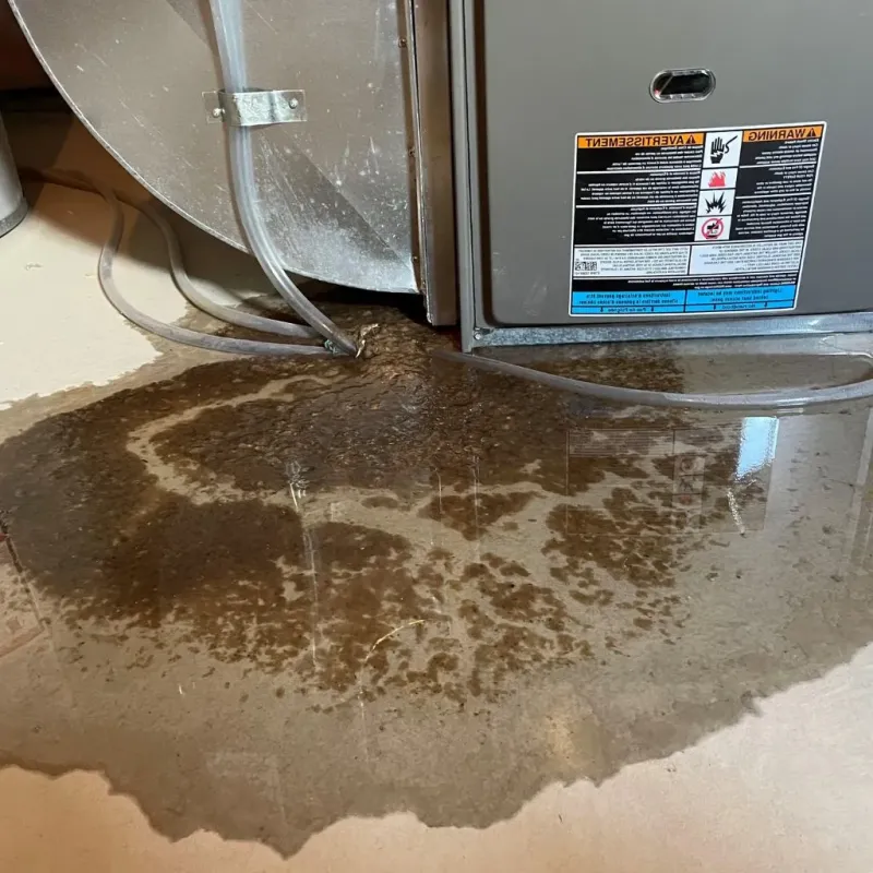 Pipe Burst and Leak Restoration in Harding County, SD